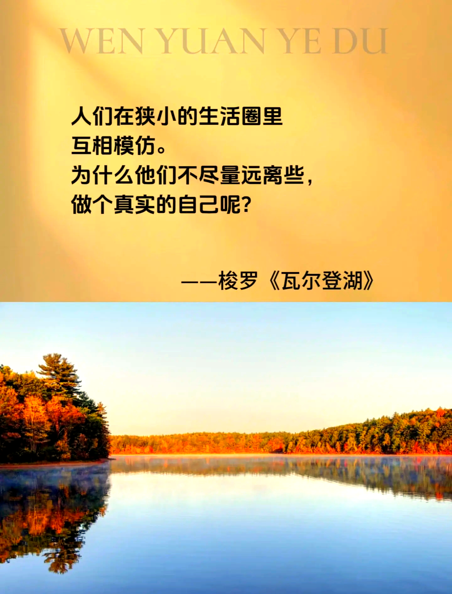 详细阅读:何尔登效应(波尔效应和何尔登效应有何生理意义) 何尔登效应(波尔效应和何尔登效应有何生理意义)